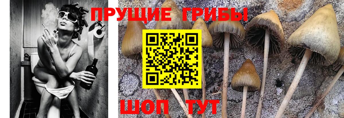 Галлюциногенные грибы Magic Shrooms  Вход с VPN  наркотики  Галлюциногенные грибы мухоморы  Великий Устюг 
