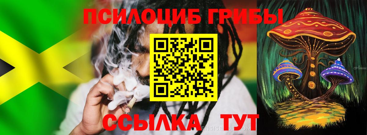Галлюциногенные грибы прущие грибы Великий Устюг